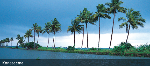 slider wordpress
