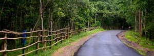 Maredumilli Tour Packages